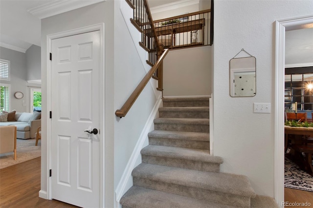 7027 Chestnut Hill St, Highlands Ranch, CO 80130 - staircase with wood finished floors and ornamental molding