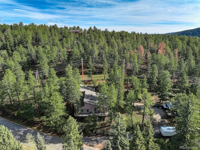 28251 Shadow Mountain Dr, Conifer, CO 80433 - aerial view of a forest