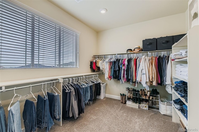 4986 E 141st Ave, Thornton, CO 80602 - photo 27