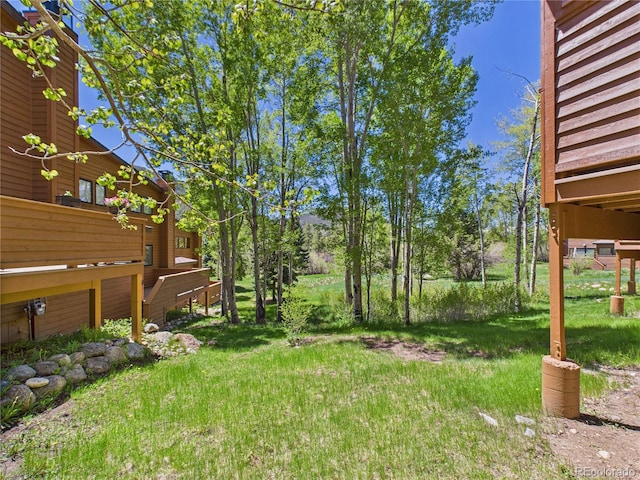 620 Tennis Club Rd Unit 1339, Dillon, CO 80435 - view of green lawn