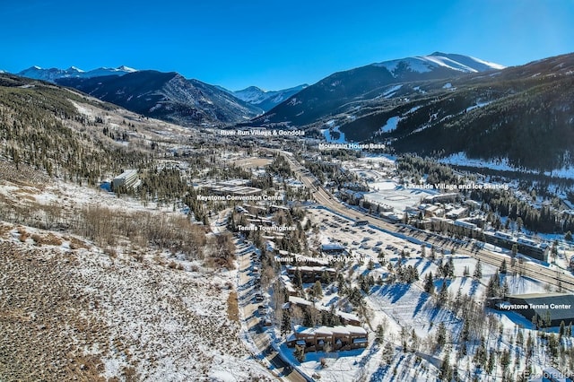 620 Tennis Club Rd Unit 1339, Dillon, CO 80435 - mountain view
