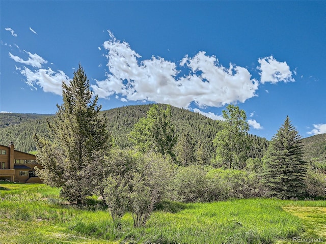 620 Tennis Club Rd Unit 1339, Dillon, CO 80435 - mountain view featuring a heavily wooded area