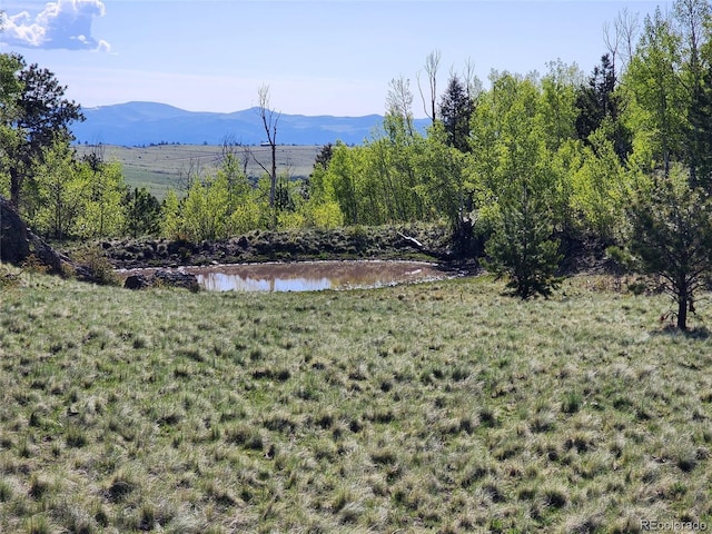 NW County Road 352a, Canon City CO, 81212 land for sale