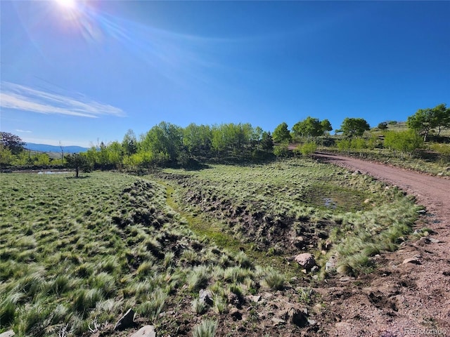 Listing photo 2 for NW County Road 352a, Canon City CO 81212