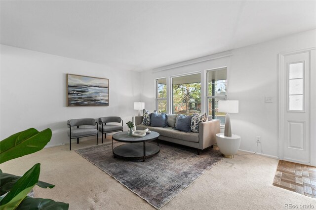 7068 E Briarwood Dr, Centennial, CO 80112 - living area with carpet floors and baseboards