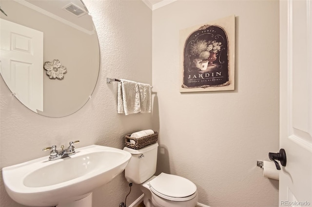 10230 Lauren Ct, Highlands Ranch, CO 80130 - half bath with crown molding, a sink, toilet, baseboards, and a textured wall