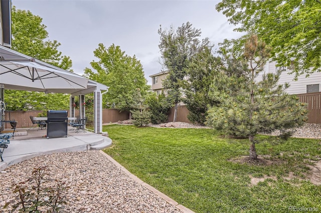 10230 Lauren Ct, Highlands Ranch, CO 80130 - view of yard featuring a patio area