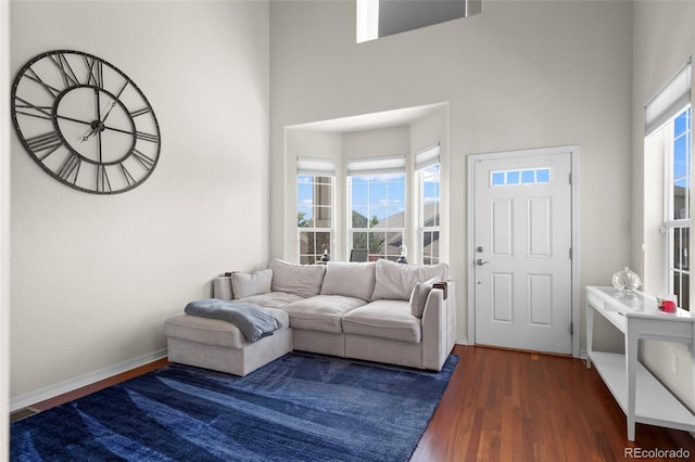 4887 Raven Run, Broomfield, CO 80023 - living area featuring a towering ceiling and wood finished floors