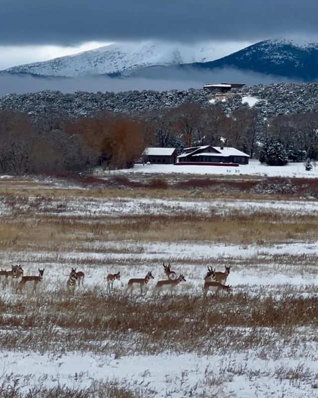 11530 County Road 256, Salida, CO 81201 - photo 50