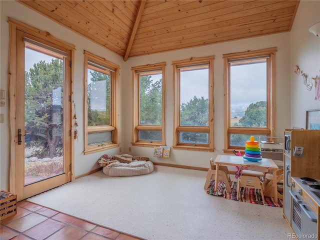 11530 County Road 256, Salida, CO 81201 - photo 10