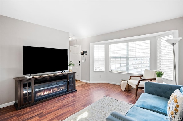 living room with hardwood / wood-style flooring