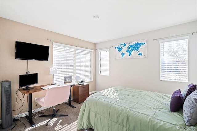 bedroom with carpet flooring