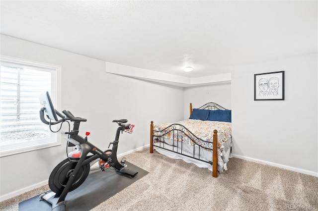 bedroom featuring carpet floors