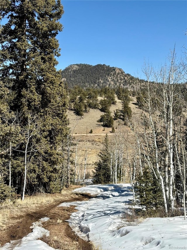 mountain view with a wooded view