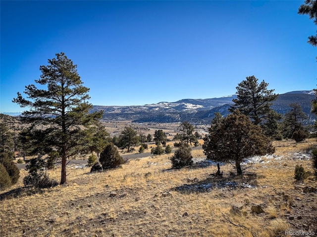0 Ellingwood Dr, South Fork, CO 81154 - photo 2