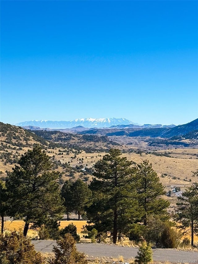 0 Ellingwood Dr, South Fork, CO 81154 - photo 3