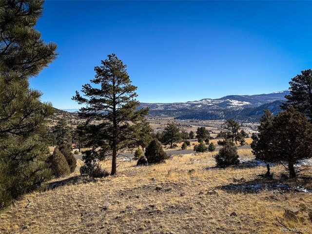 0 Ellingwood Dr, South Fork, CO 81154 - photo 5