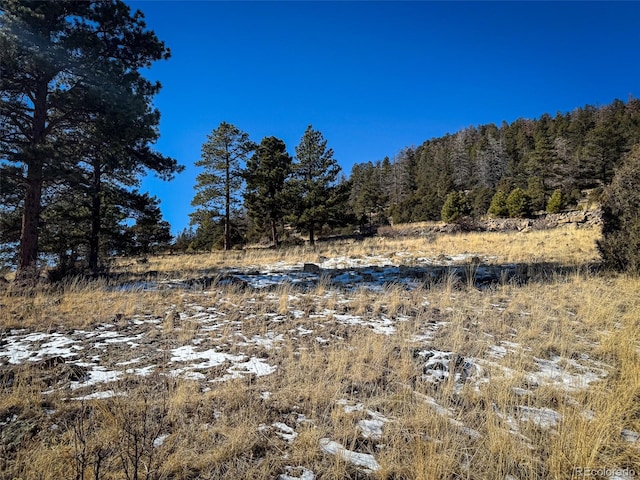 0 Ellingwood Dr, South Fork, CO 81154 - photo 6