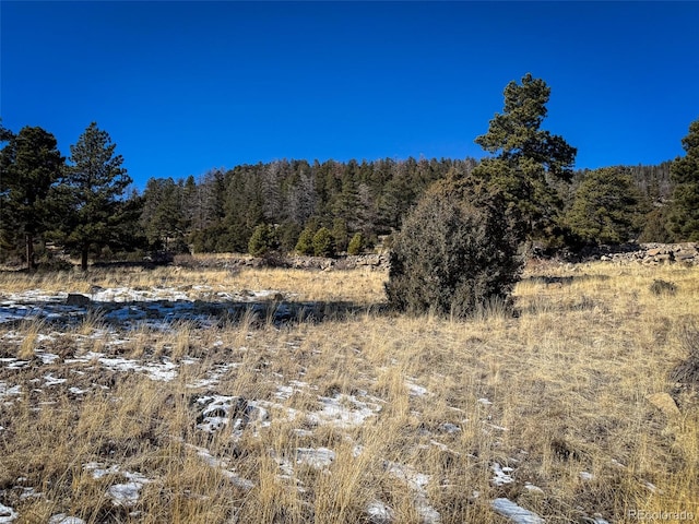 0 Ellingwood Dr, South Fork, CO 81154 - photo 7