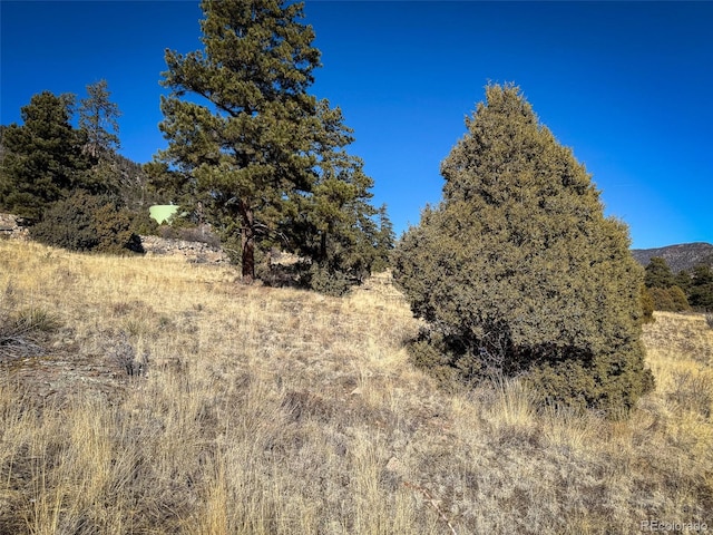 0 Ellingwood Dr, South Fork, CO 81154 - photo 8
