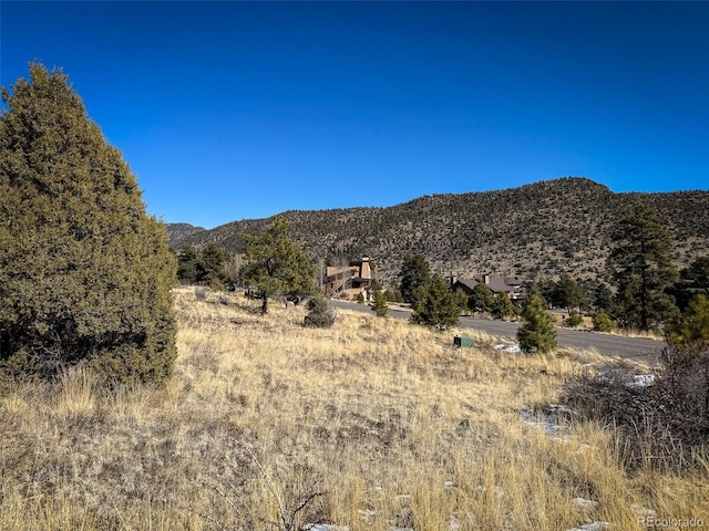 0 Ellingwood Dr, South Fork, CO 81154 - photo 9