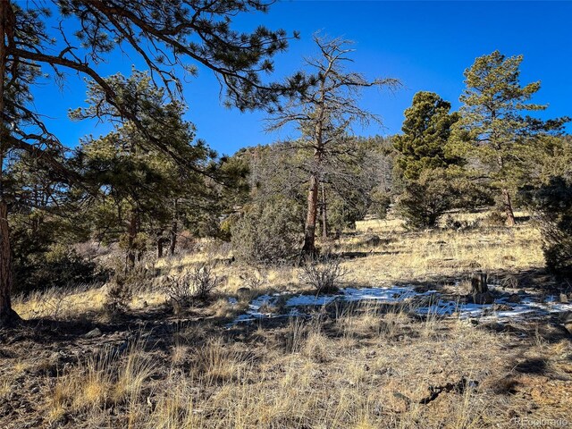 0 Ellingwood Dr, South Fork, CO 81154 - photo 10