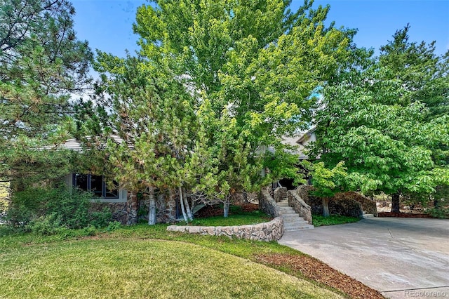 view of front of house featuring a front yard