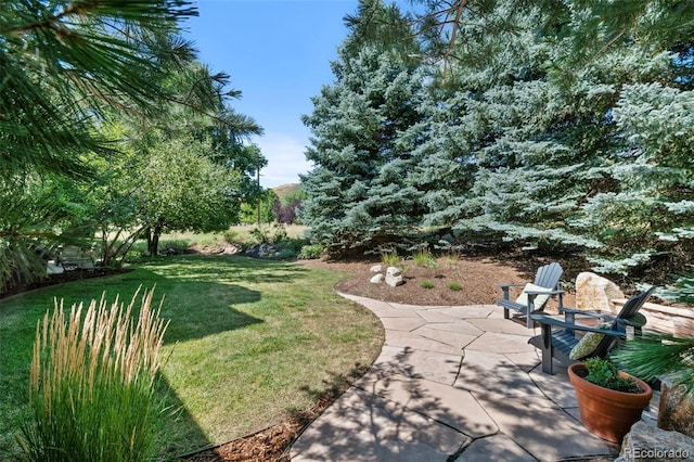 view of yard with a patio