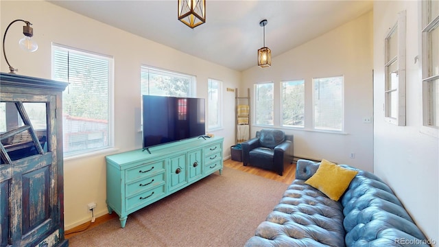 living room featuring light hardwood / wood-style floors and vaulted ceiling