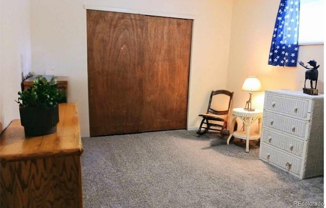 sitting room with carpet floors