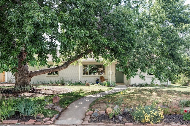 1759 Olive St, Denver, CO 80220 - photo 2