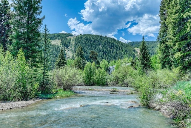 23004 US Highway 6 Unit 103, Dillon, CO 80435 - view of mountain backdrop with a heavily wooded area