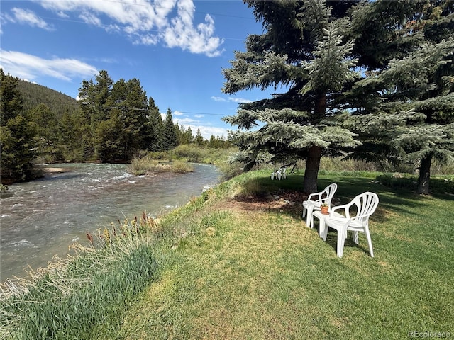 23004 US Highway 6 Unit 103, Dillon, CO 80435 - view of grassy yard