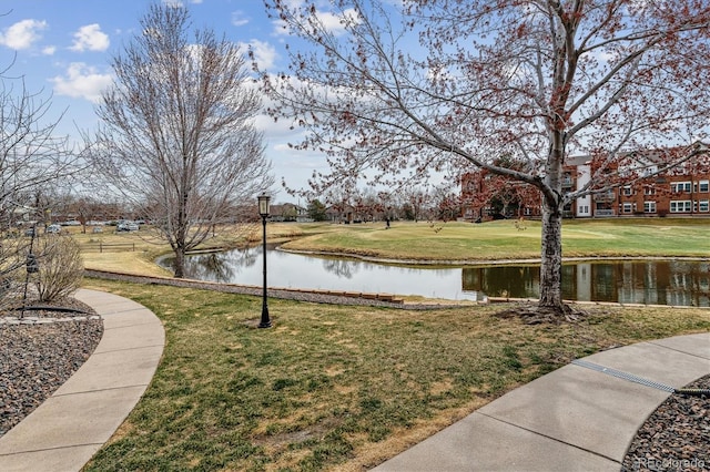 2824 W Centennial Dr Unit L, Littleton, CO 80123 - view of property's community with a water view and a lawn