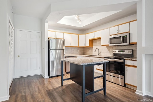 2824 W Centennial Dr Unit L, Littleton, CO 80123 - kitchen with stainless steel appliances, a sink, tasteful backsplash, and wood finished floors