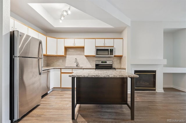 2824 W Centennial Dr Unit L, Littleton, CO 80123 - kitchen with appliances with stainless steel finishes, a raised ceiling, a sink, light wood-type flooring, and white cabinets