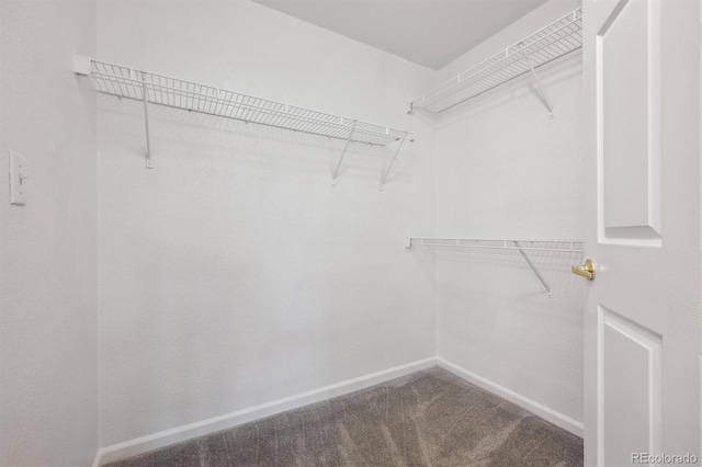 2824 W Centennial Dr Unit L, Littleton, CO 80123 - walk in closet featuring carpet flooring