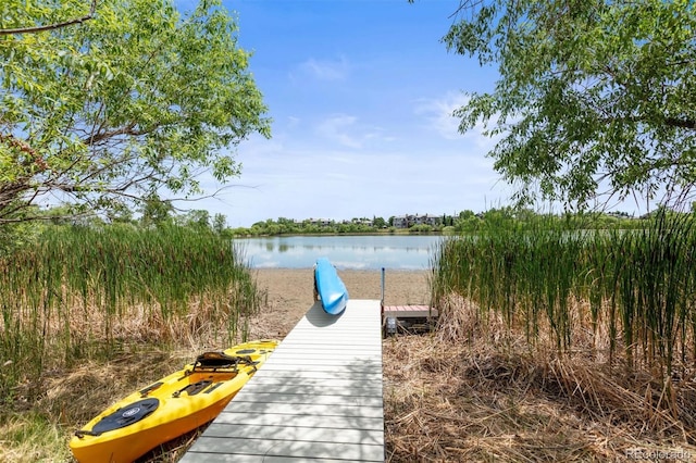 8070 W Progress Cir, Littleton, CO 80123 - dock with a water view