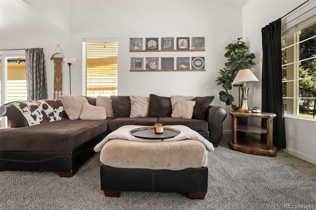 4713 Perth St, Denver, CO 80249 - carpeted living area featuring plenty of natural light and baseboards