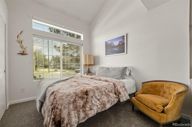4713 Perth St, Denver, CO 80249 - bedroom featuring carpet, baseboards, and lofted ceiling