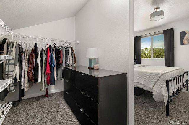 4713 Perth St, Denver, CO 80249 - walk in closet with carpet floors and lofted ceiling