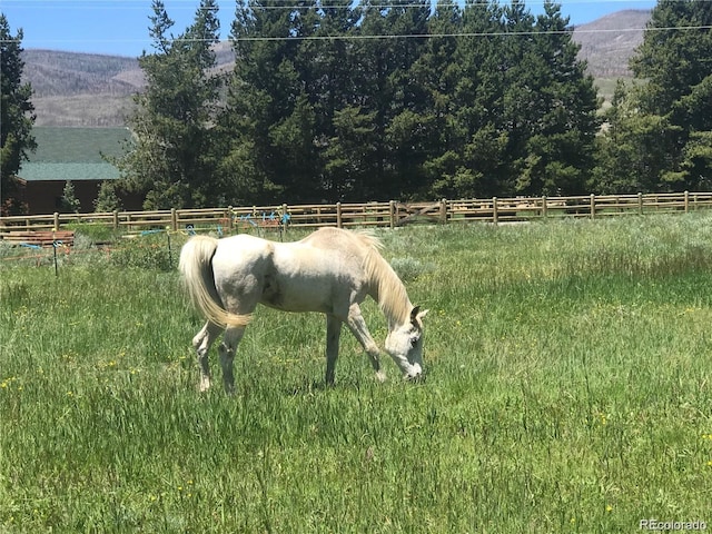 241 County Road 4980, Grand Lake, CO 80447 - photo 39