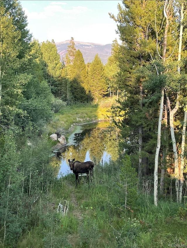 241 County Road 4980, Grand Lake, CO 80447 - photo 45