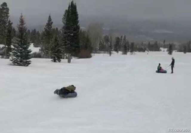 241 County Road 4980, Grand Lake, CO 80447 - photo 48