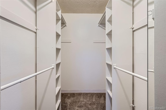 spacious closet featuring dark carpet