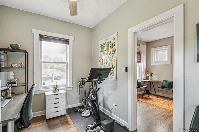 office featuring plenty of natural light, a textured ceiling, and dark hardwood / wood-style flooring