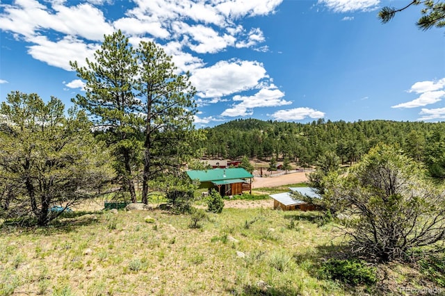 435 Sourwood Ln, Canon City, CO 81212 - view of yard featuring a wooded view and a rural view