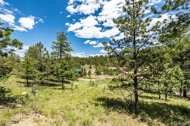 435 Sourwood Ln, Canon City, CO 81212 - view of woods