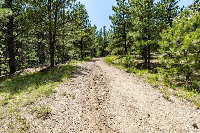 435 Sourwood Ln, Canon City, CO 81212 - view of road featuring a forest view