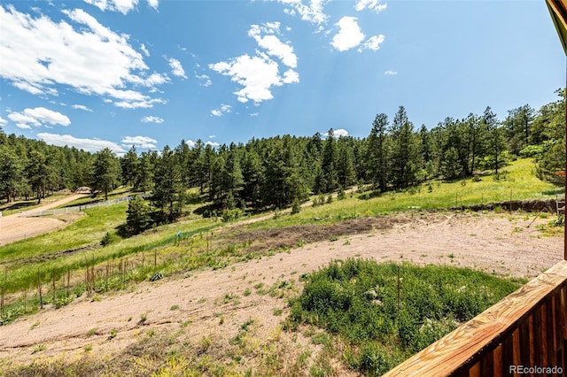 435 Sourwood Ln, Canon City, CO 81212 - view of yard with a view of trees
